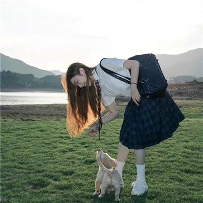 盗贼泰瑞莎